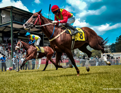 Royal Ascot Dates 2025 Guide: Races, Running Order & Schedule