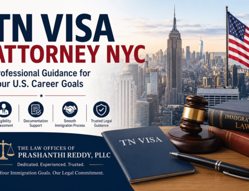 TN Visa Attorney NYC: Understanding Work Visa Options for Professionals